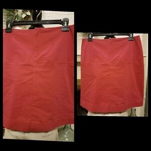 2/$30 Banana Republic Skirt sz 10 NEW NWT